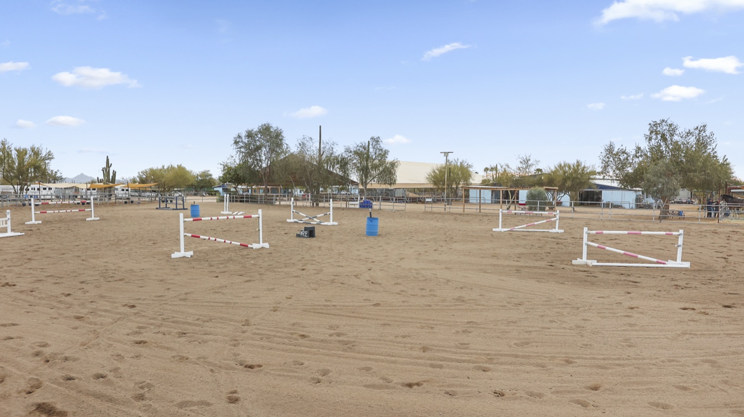 Winter Rose arena