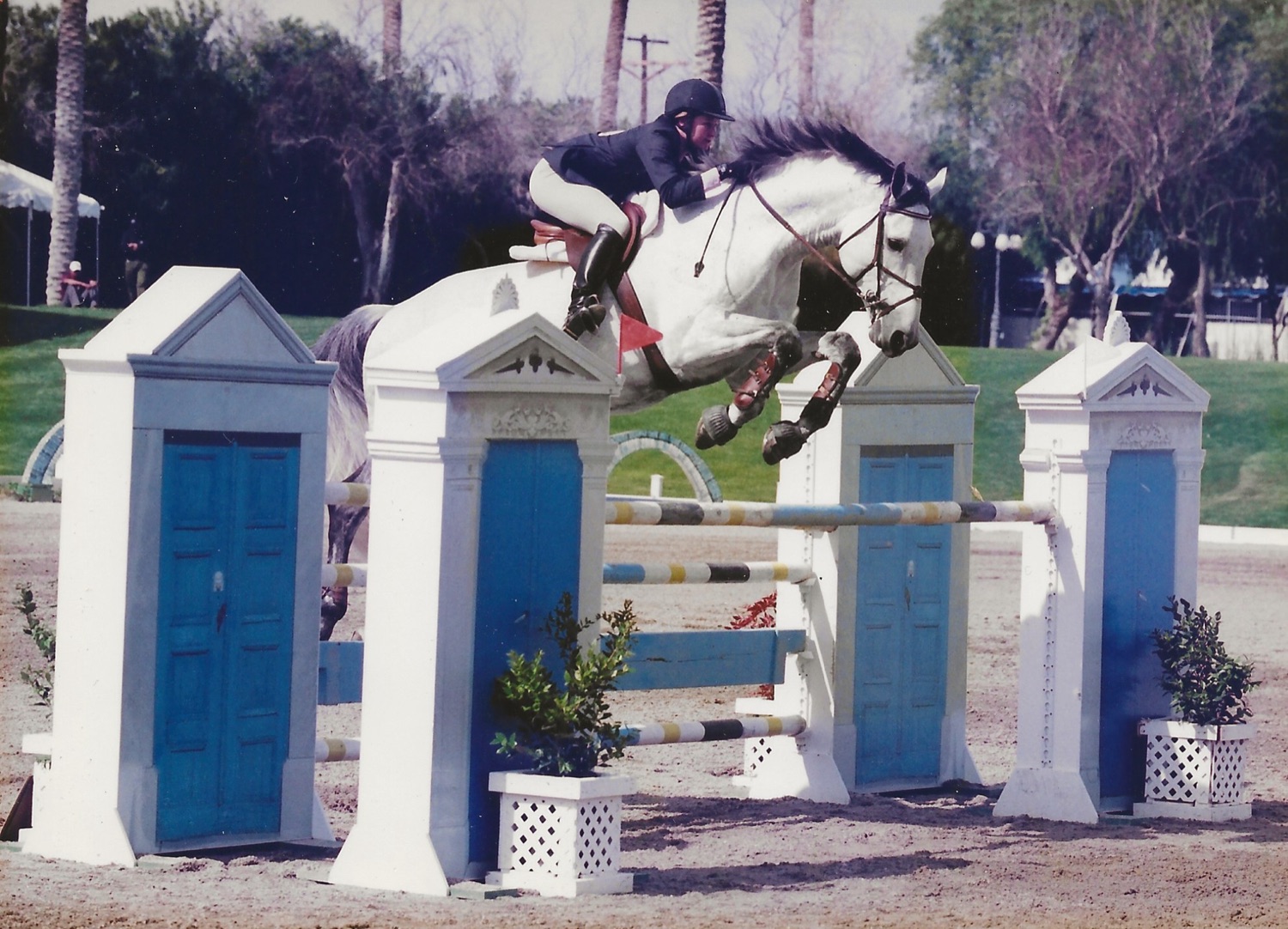 show jumping